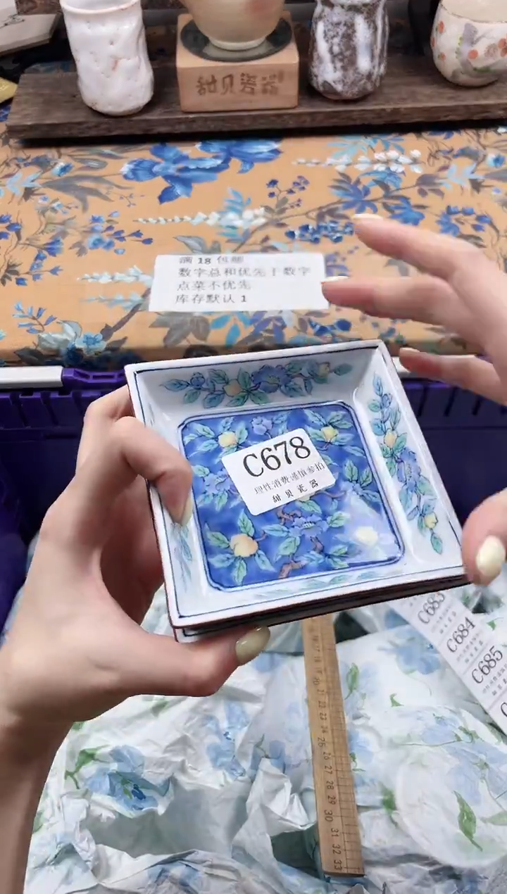 瓷片蘭                C678