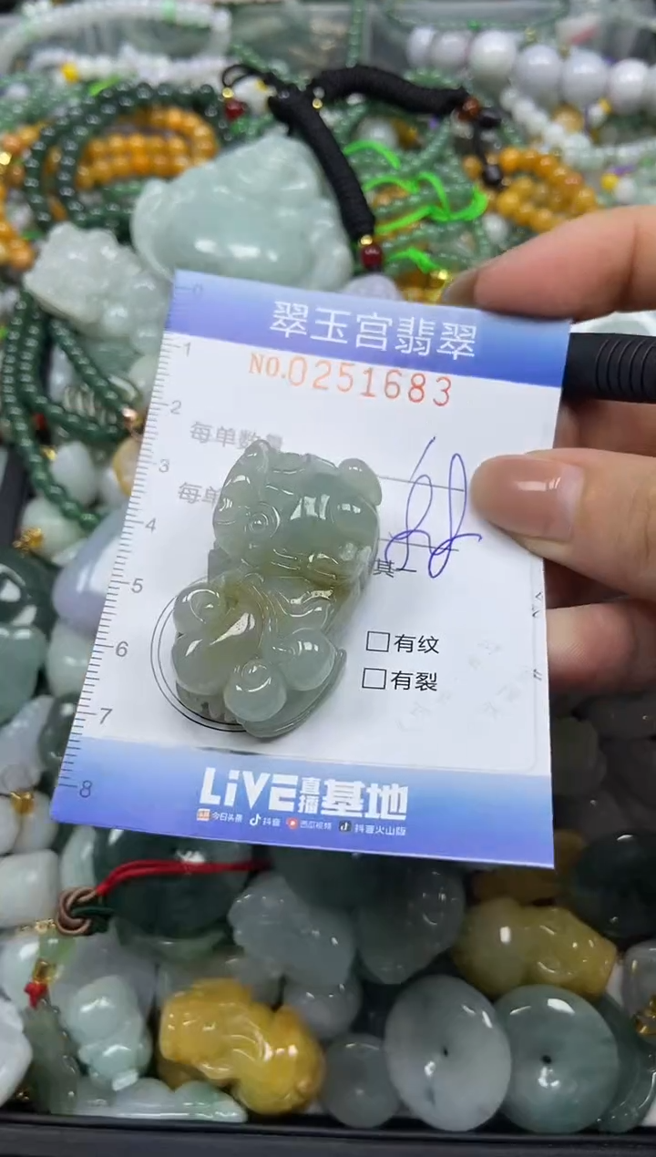 颈饰未镶嵌翡翠闪购C0251683