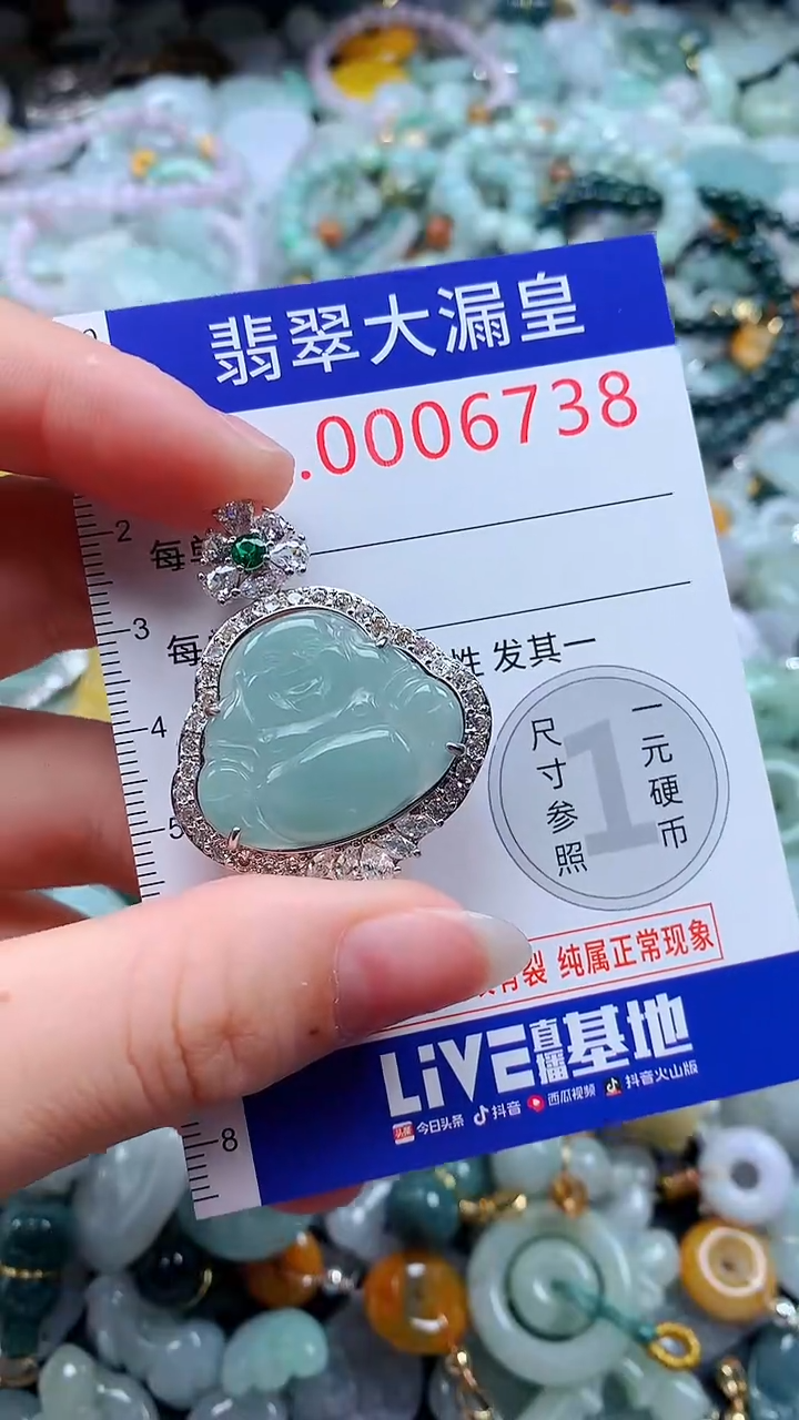 翡翠未镶嵌吊坠(不含链)6739