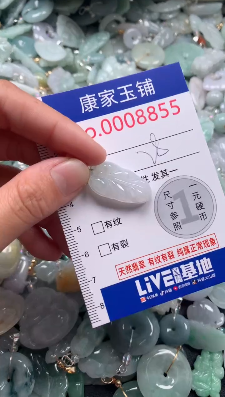 颈饰未镶嵌翡翠8855