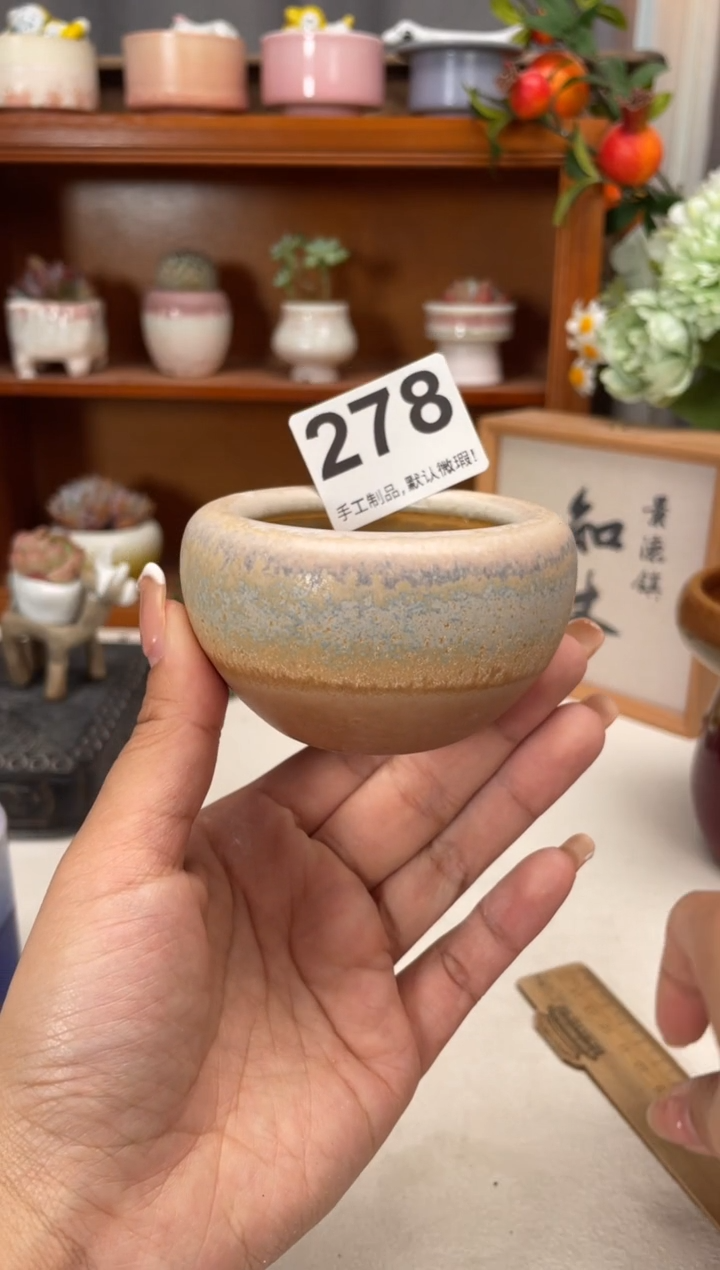 瓷片278知木小芳花盆编号