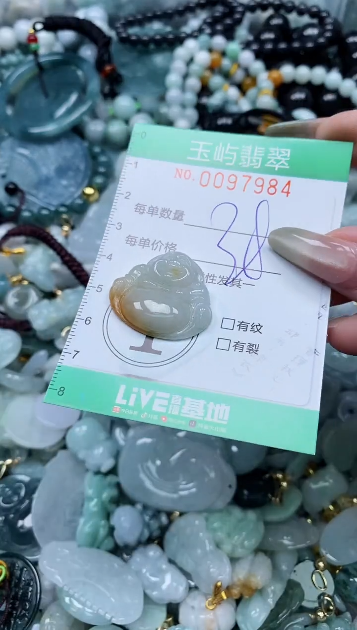 【闪购商品】翡翠未镶嵌颈饰闪购0097984