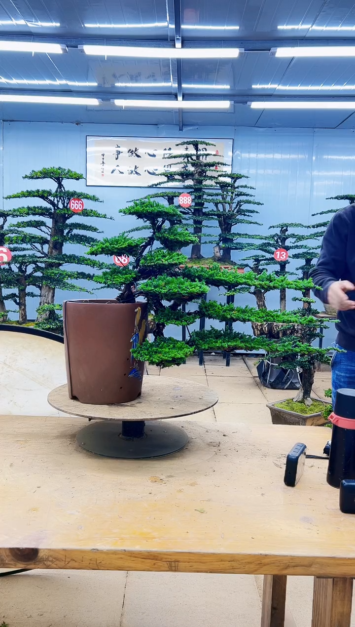 无花朵000000000000000000000000000