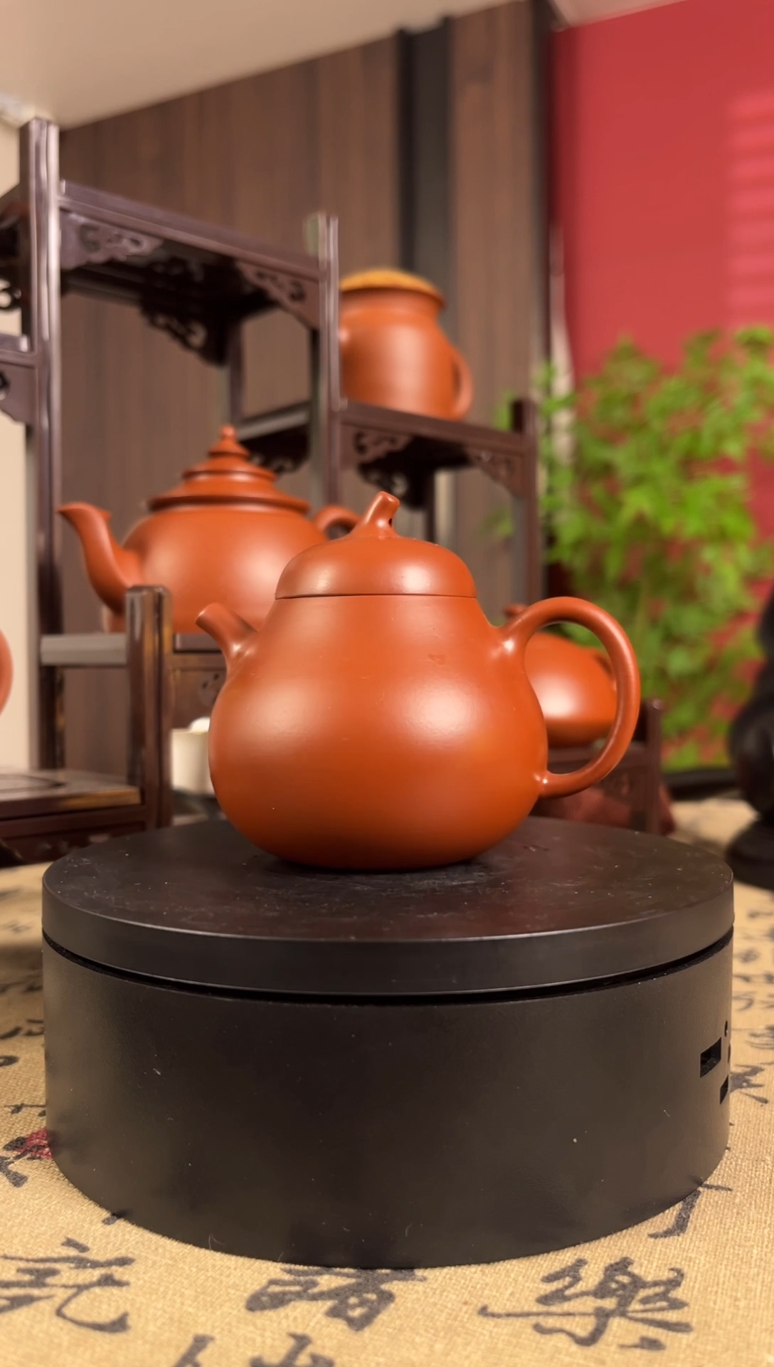 4-佘泽伟-茄瓜-100cc