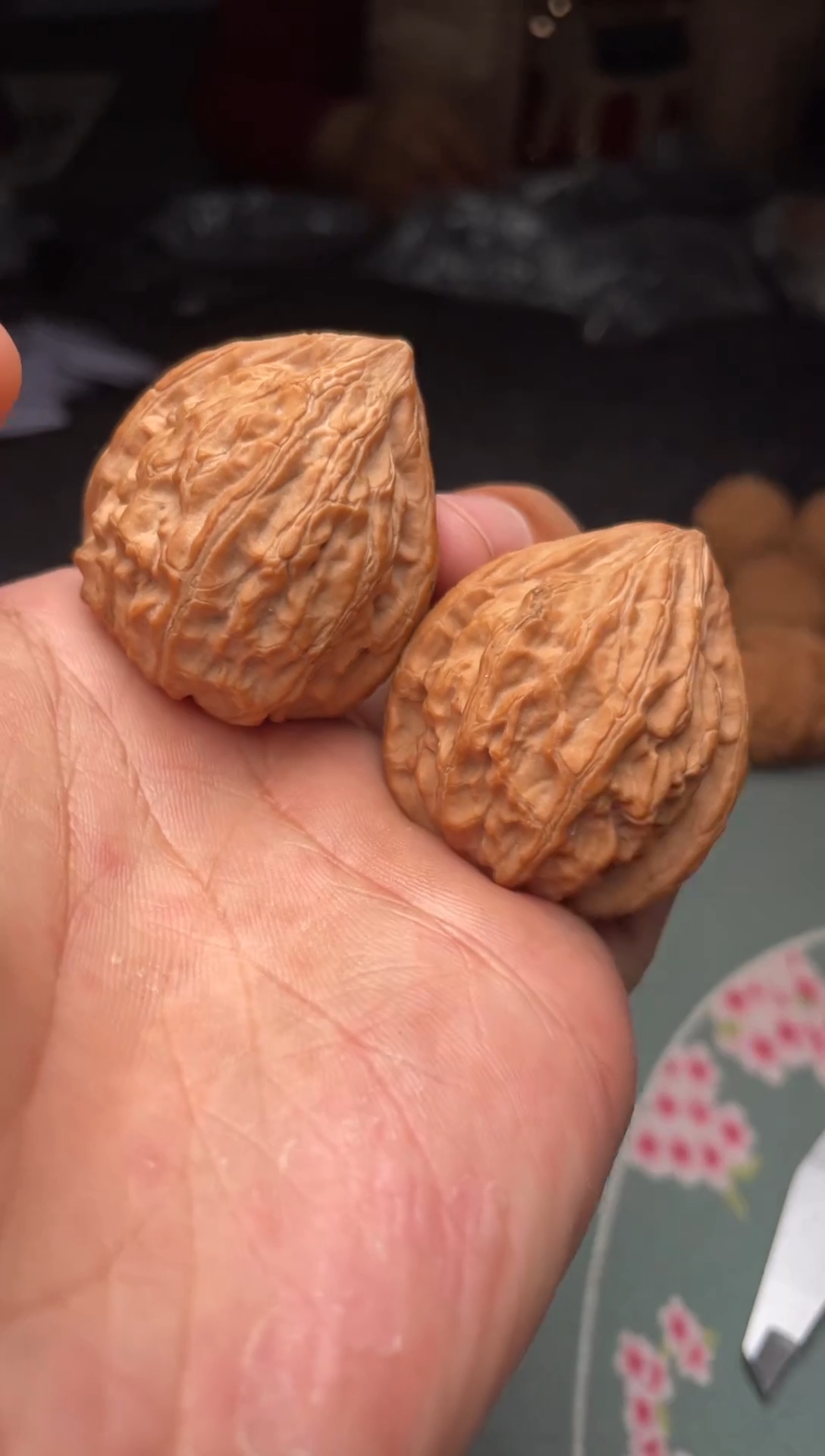 把件文玩核桃a115  野生坐佛  36尺