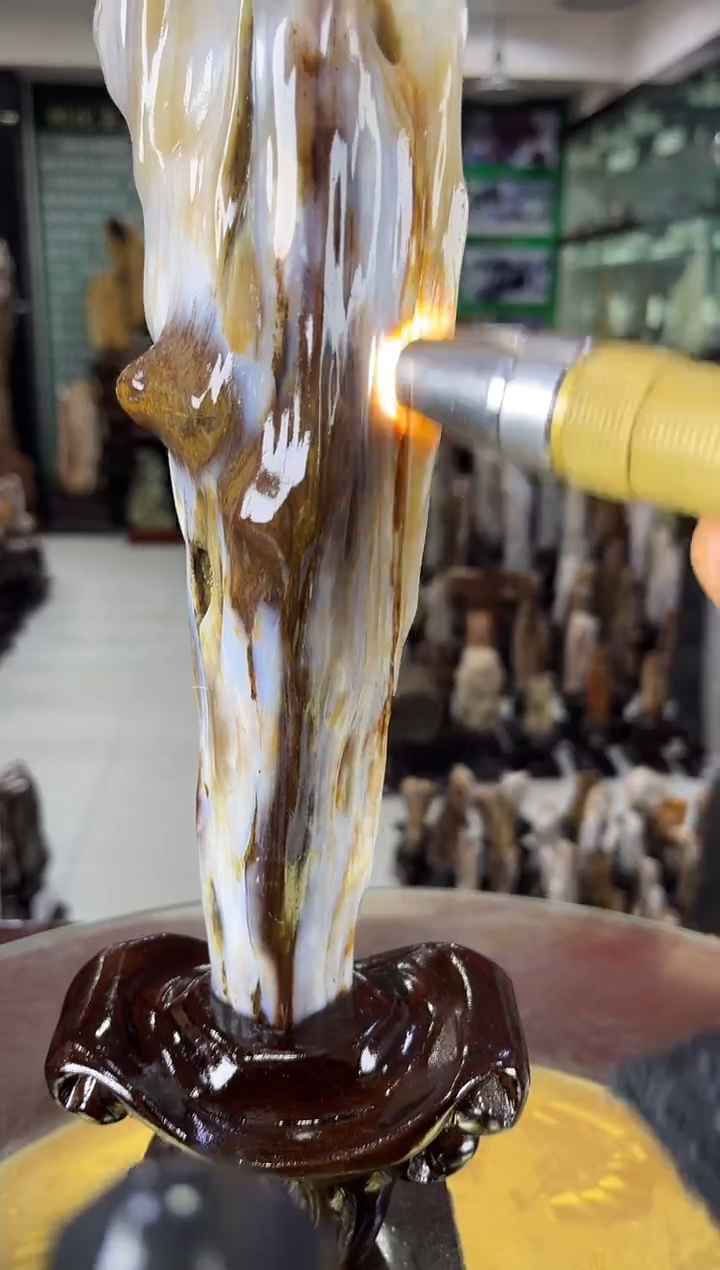 未镶嵌珠宝奇石硅化玉缅甸天然树化玉摆件