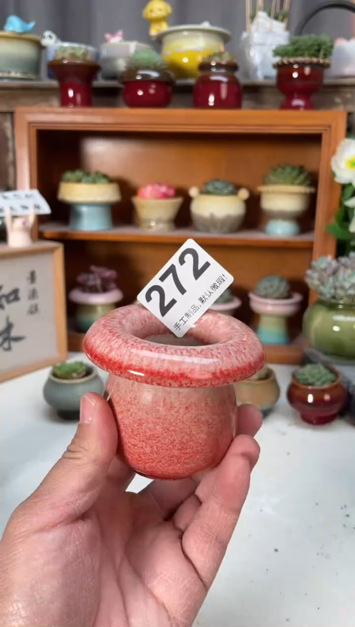 瓷片272小芳直播编号
