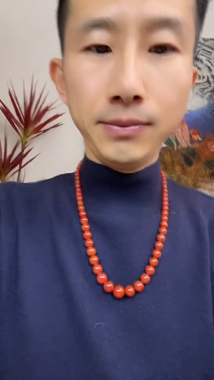 【闪购商品】南红玛瑙颈饰未镶嵌链子