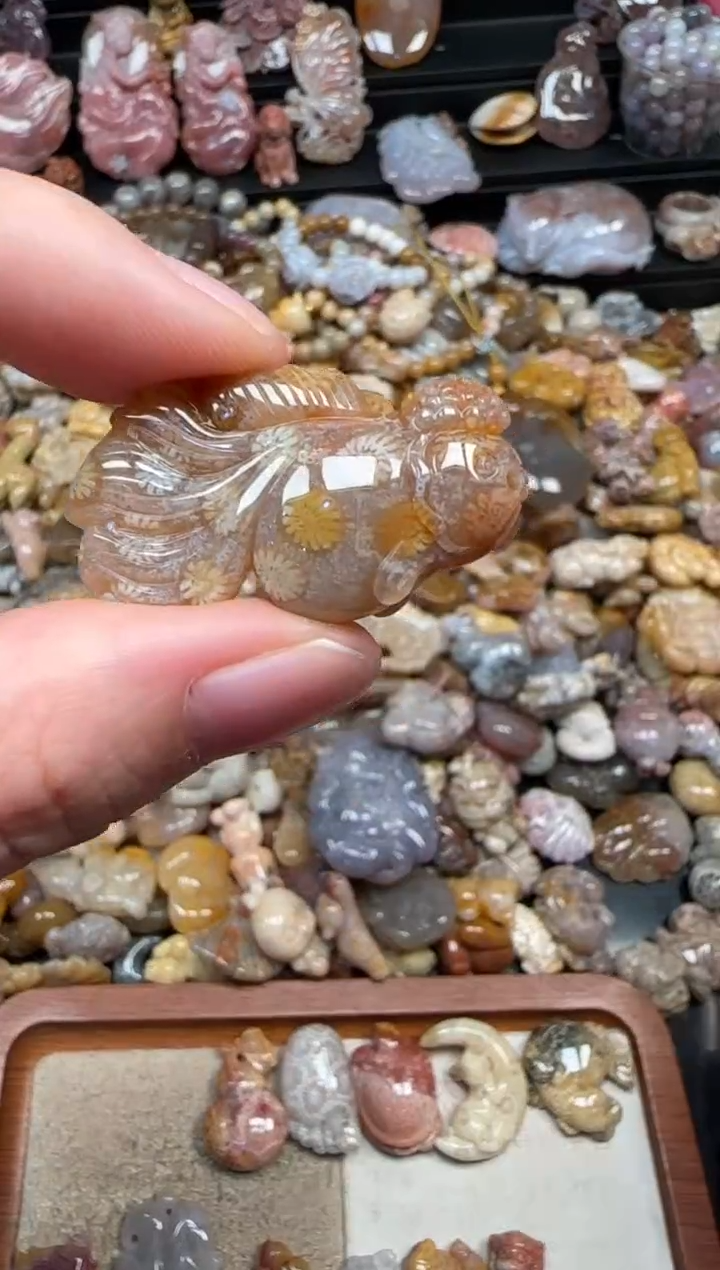 颈饰未镶嵌硅化珊瑚（珊瑚玉）183