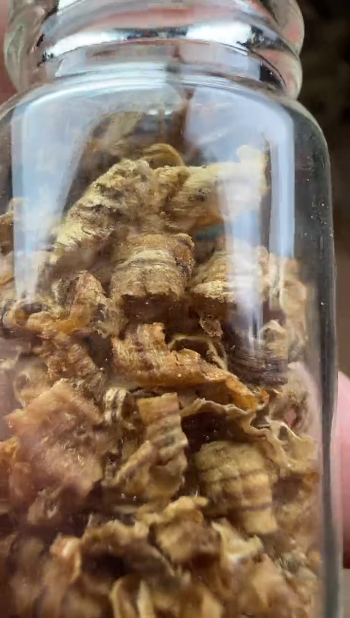 沉香碎屑沉香越南勾丝0.5g