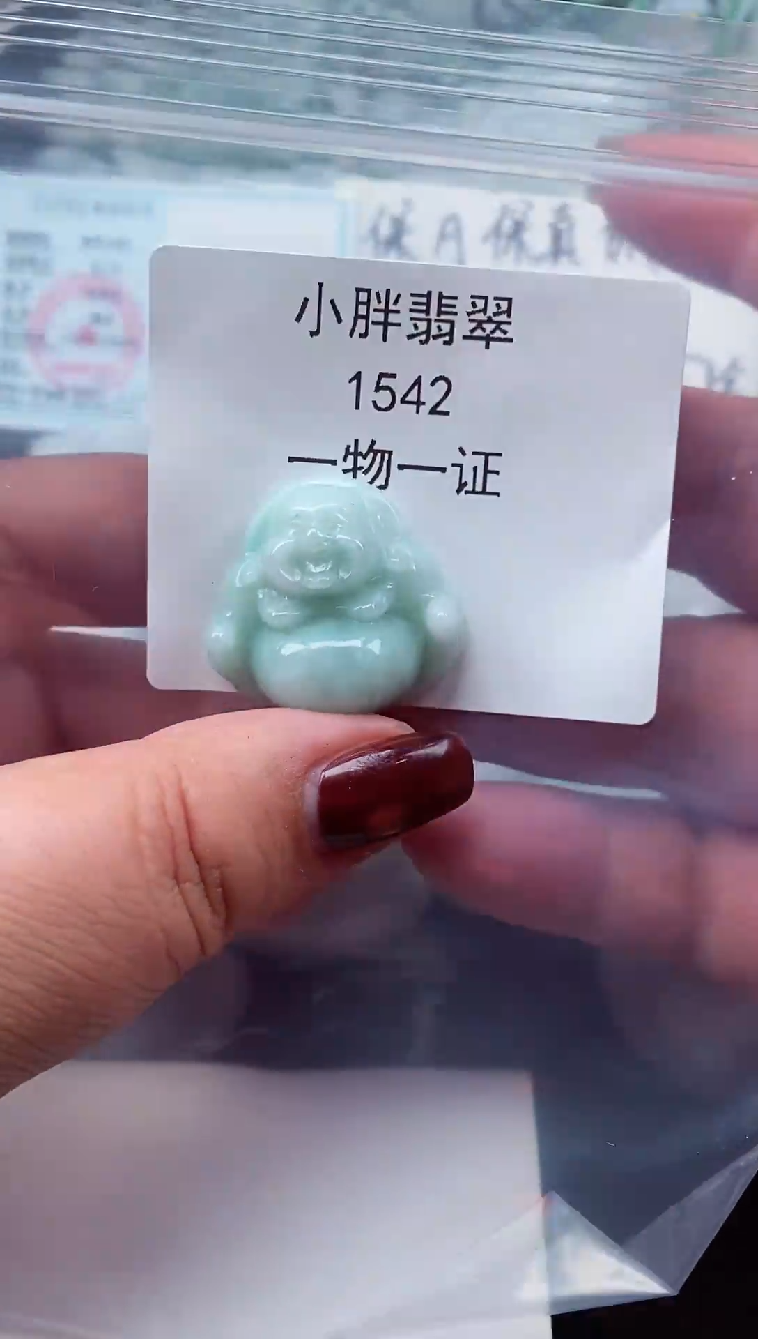 颈饰未镶嵌翡翠缅甸天然A货翡翠1542