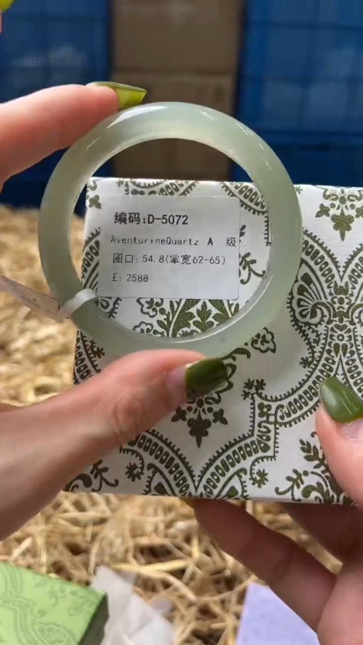 未镶嵌手镯石英质玉D5072