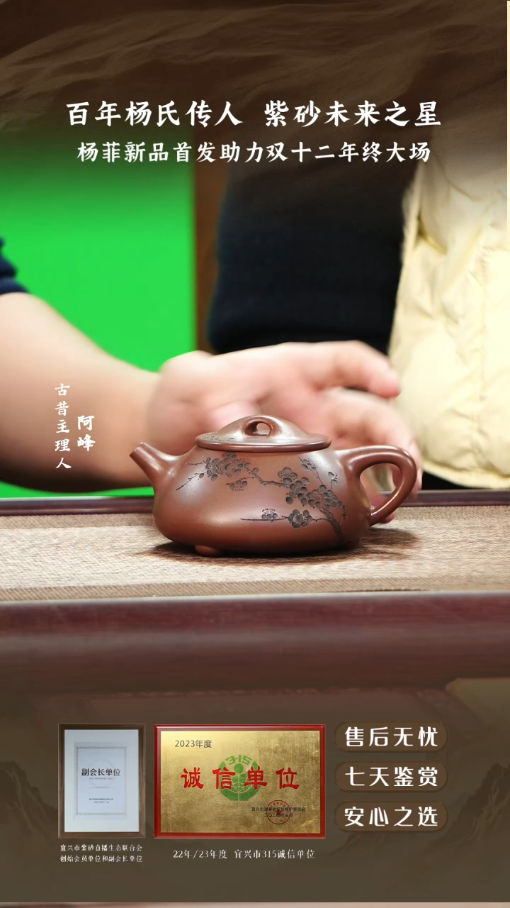 杨菲彭年紫泥景舟石瓢240cc