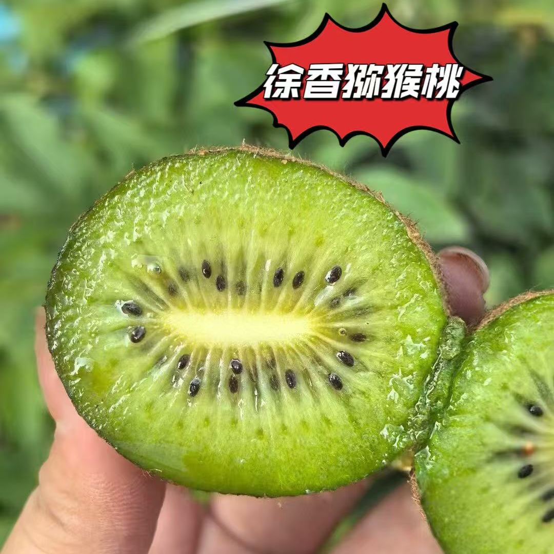 陕西徐香猕猴桃绿心眉县香甜多汁新鲜水果【放软食用】