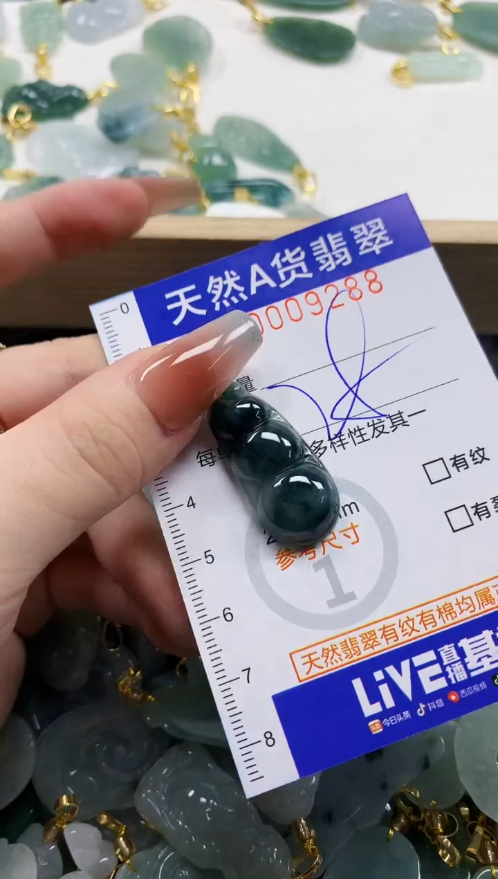颈饰未镶嵌翡翠天然A货翡翠