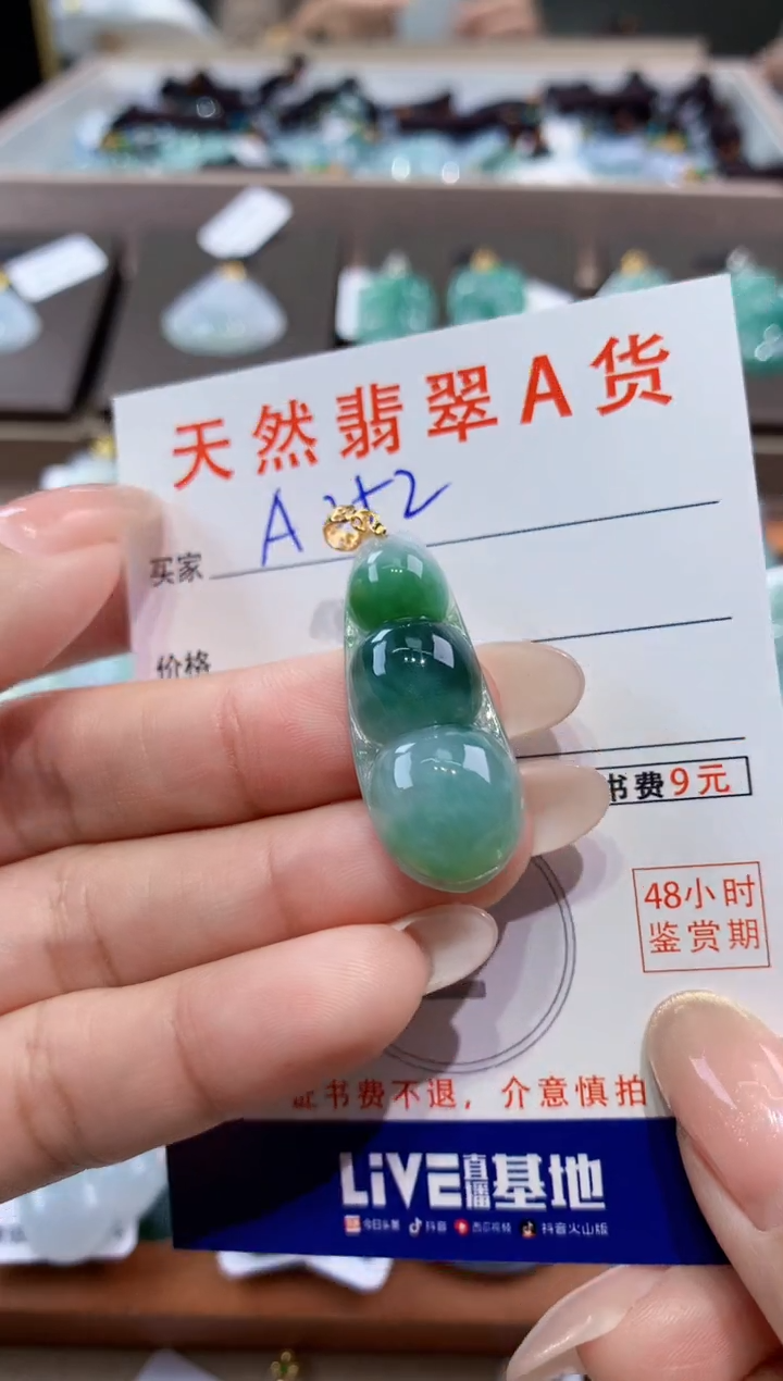 颈饰未镶嵌翡翠天然缅甸翡翠A货挂件 