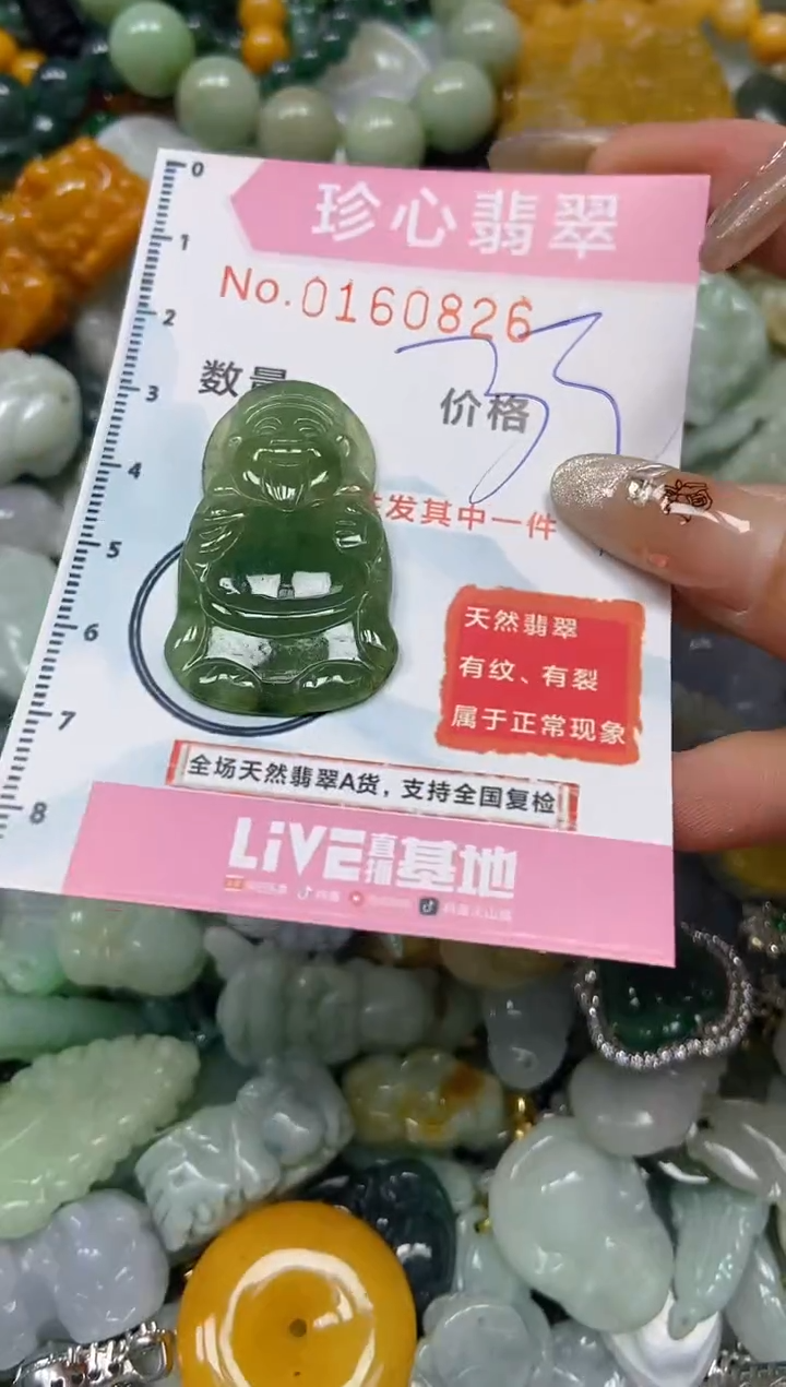 【闪购商品】翡翠颈饰未镶嵌闪购0160826