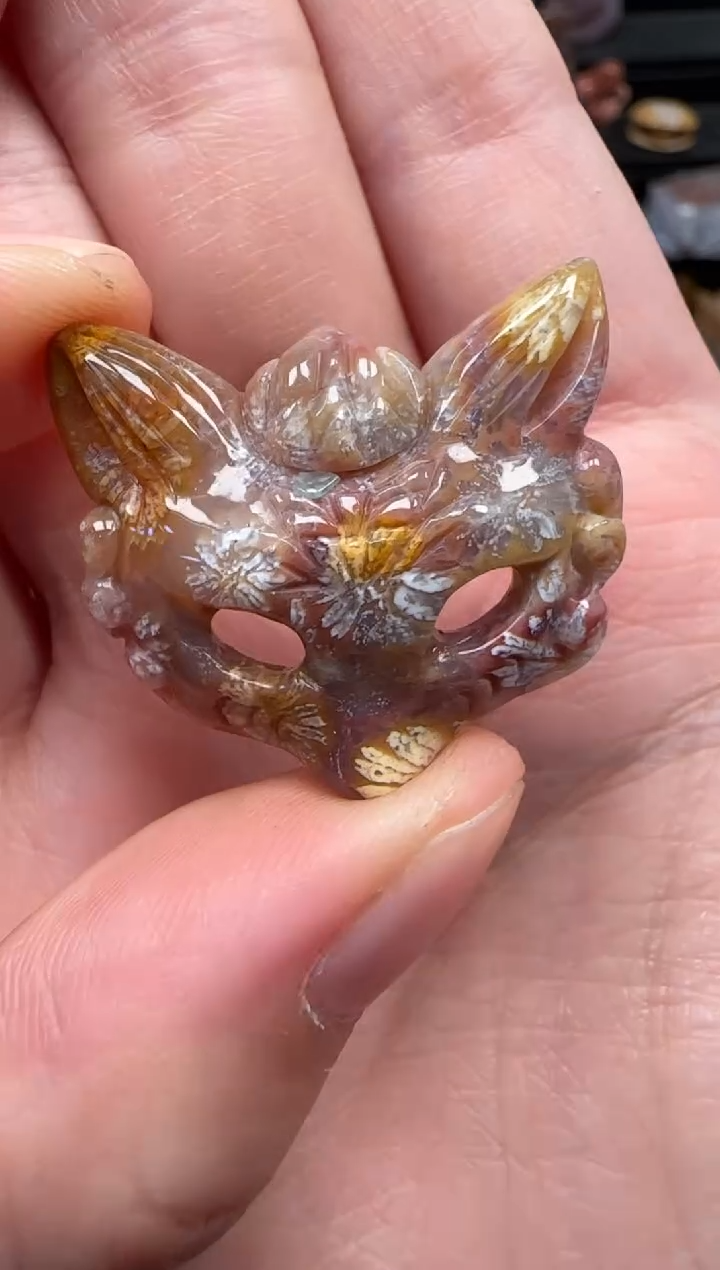 颈饰未镶嵌硅化珊瑚（珊瑚玉）155