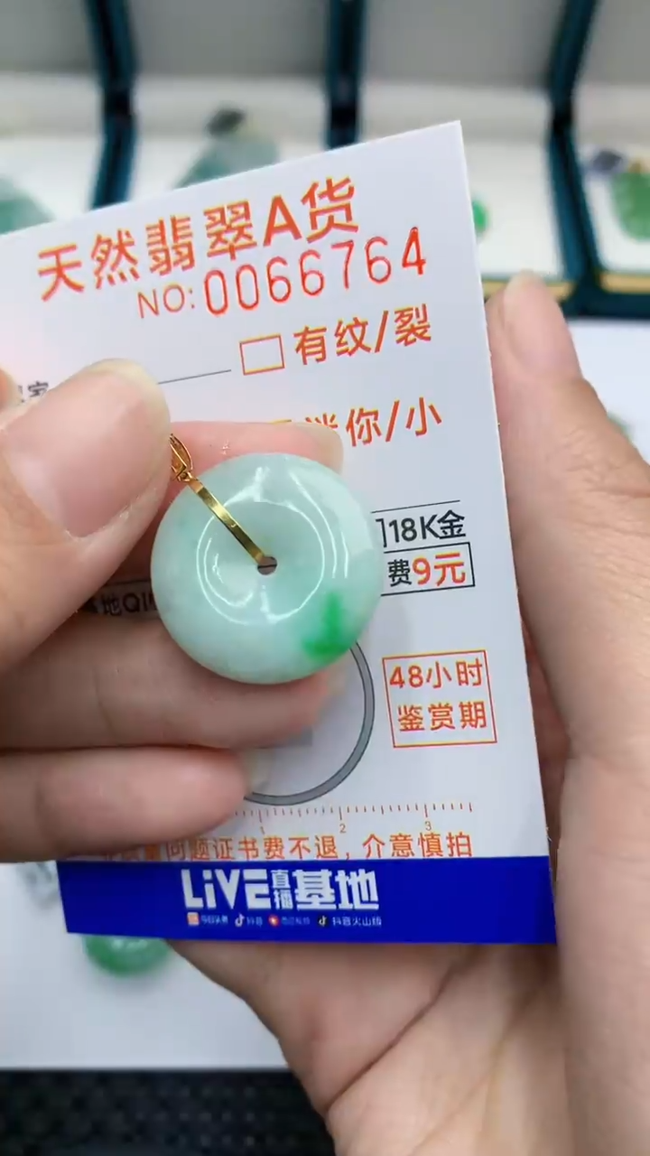 【闪购商品】翡翠颈饰18K金镶嵌            8