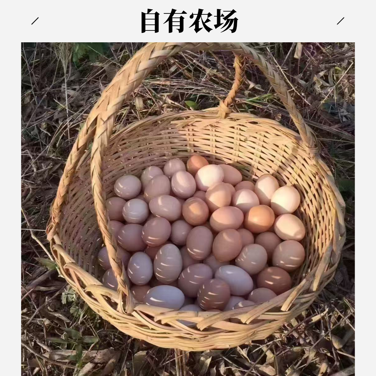 九珍鲜 自有农场林间散养初生蛋 20枚 顺丰次日达