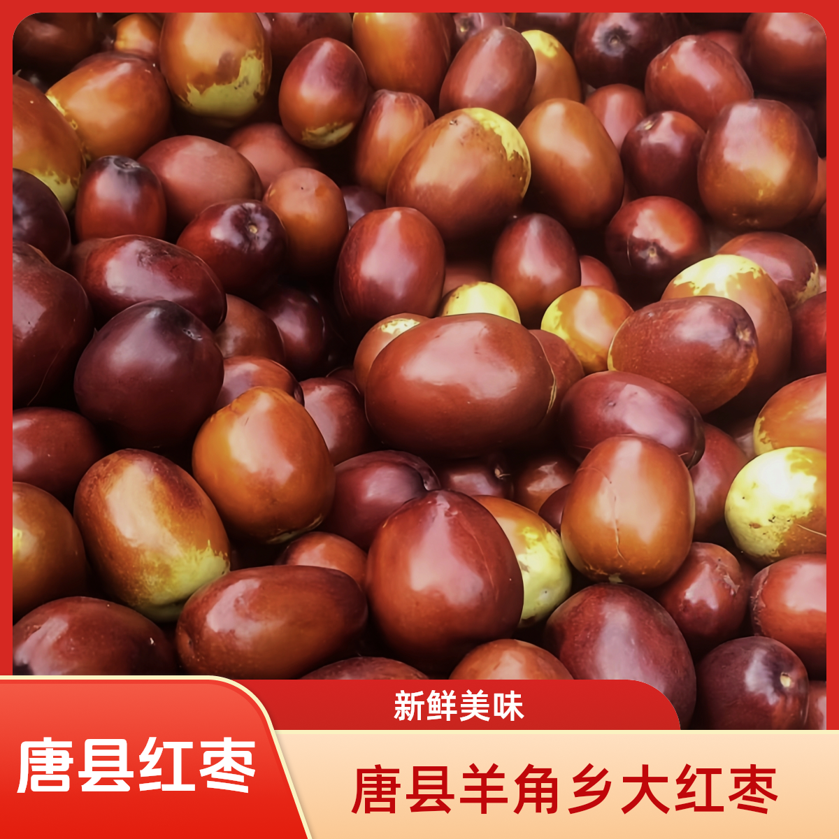 唐县羊角乡特产红枣新鲜现摘应季水果脆甜果肉饱满鲜枣