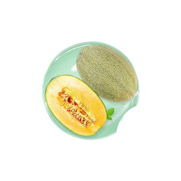 海南海沙地蜜瓜1个3.5斤一4斤左右