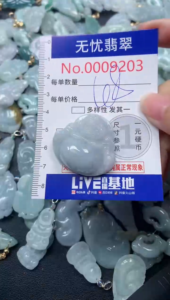 颈饰未镶嵌翡翠9203