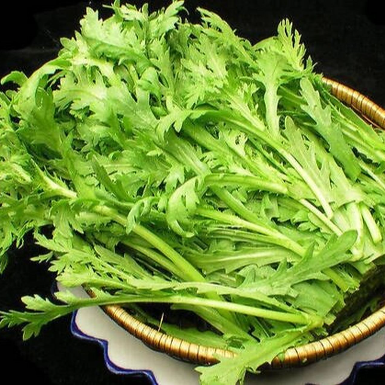 （书记助农） 农家茼蒿