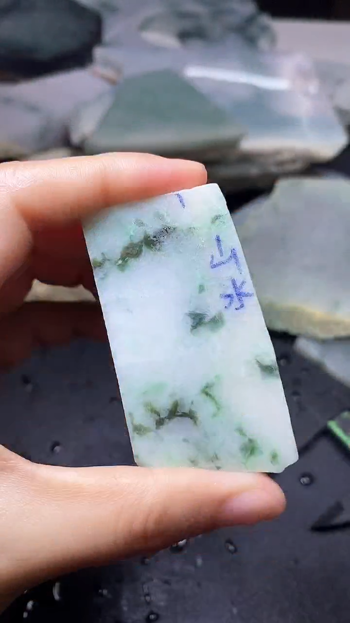 【闪购商品】翡翠颈饰未镶嵌料子