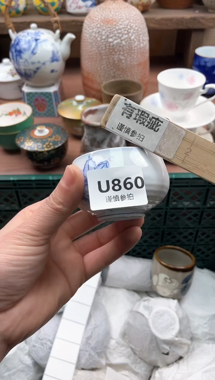 【闪购商品】瓷片860             