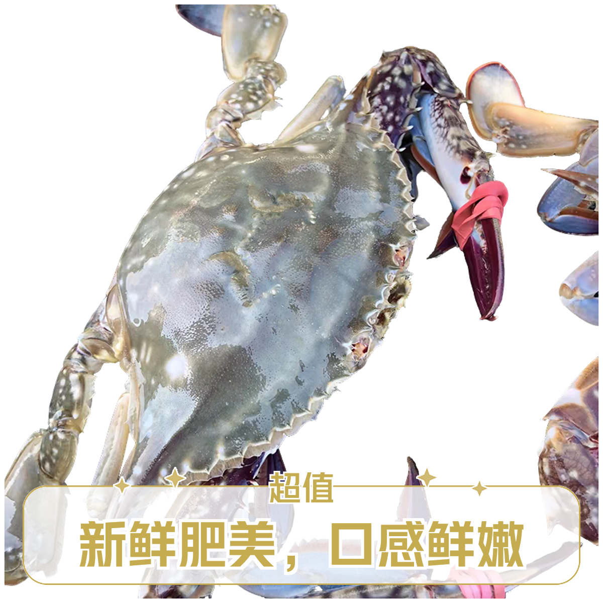 冰鲜飞蟹 1000 克 7-9只【保鲜不保活】约2-3两