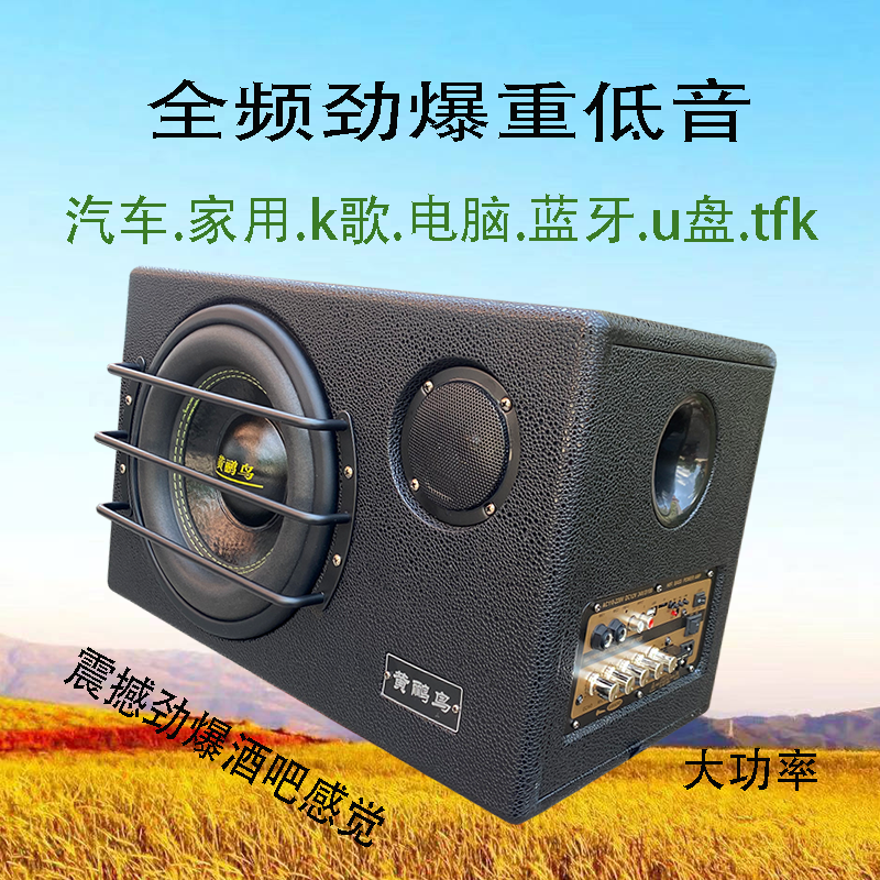 黄鹂鸟重低音10寸三分频车载家用低音炮音响唱歌大功率12V24V220V