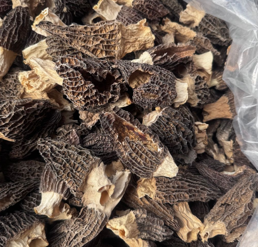 现拍现称【直播专属羊肚菌】（破损瑕疵羊肚菌）