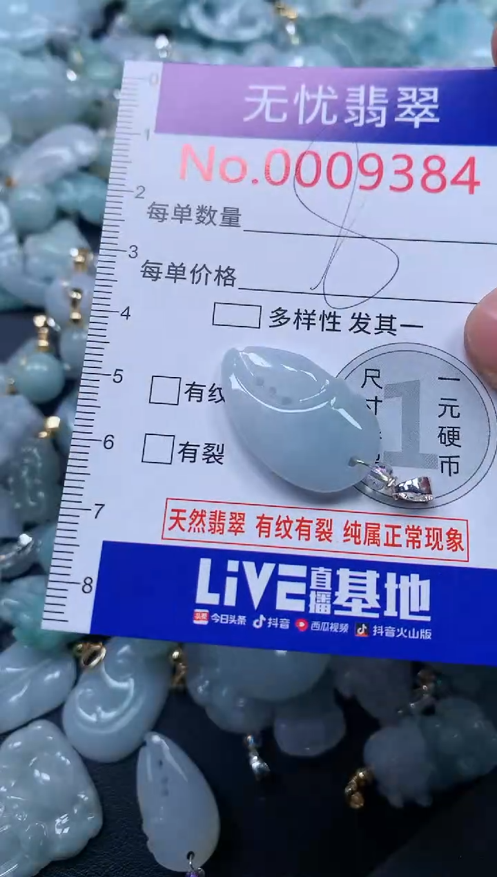 颈饰未镶嵌翡翠9384