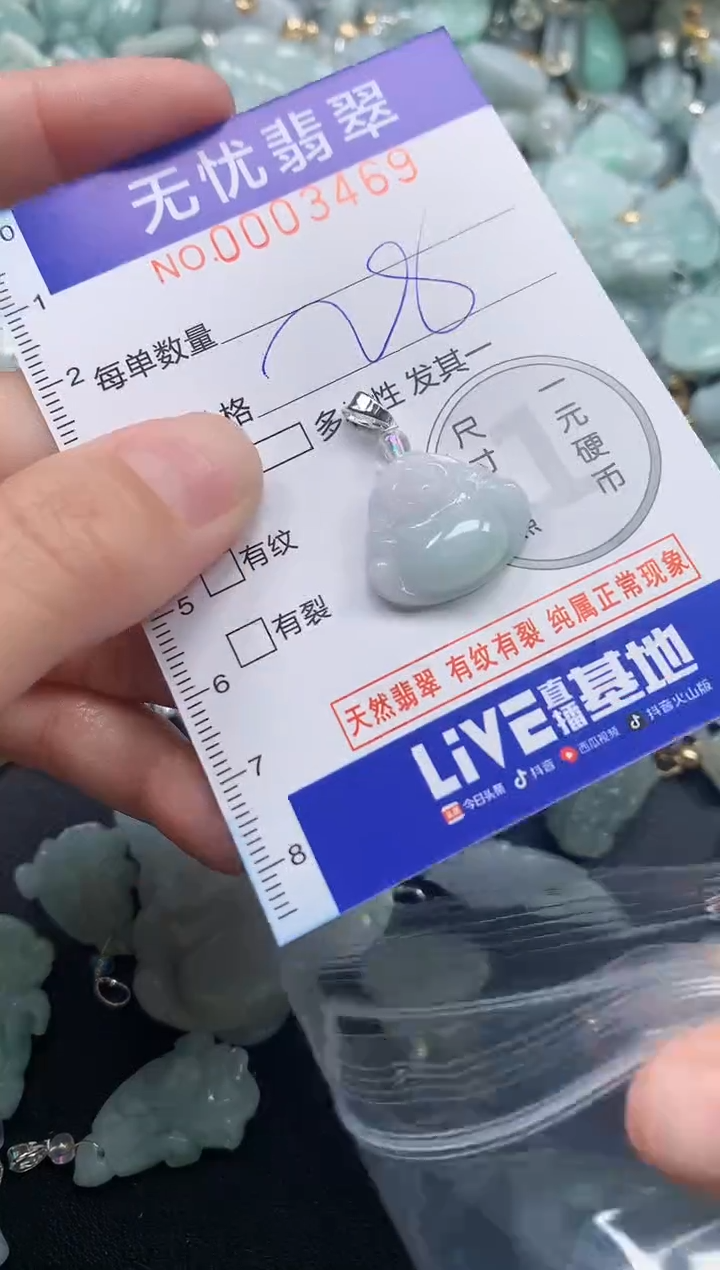 颈饰未镶嵌翡翠3469