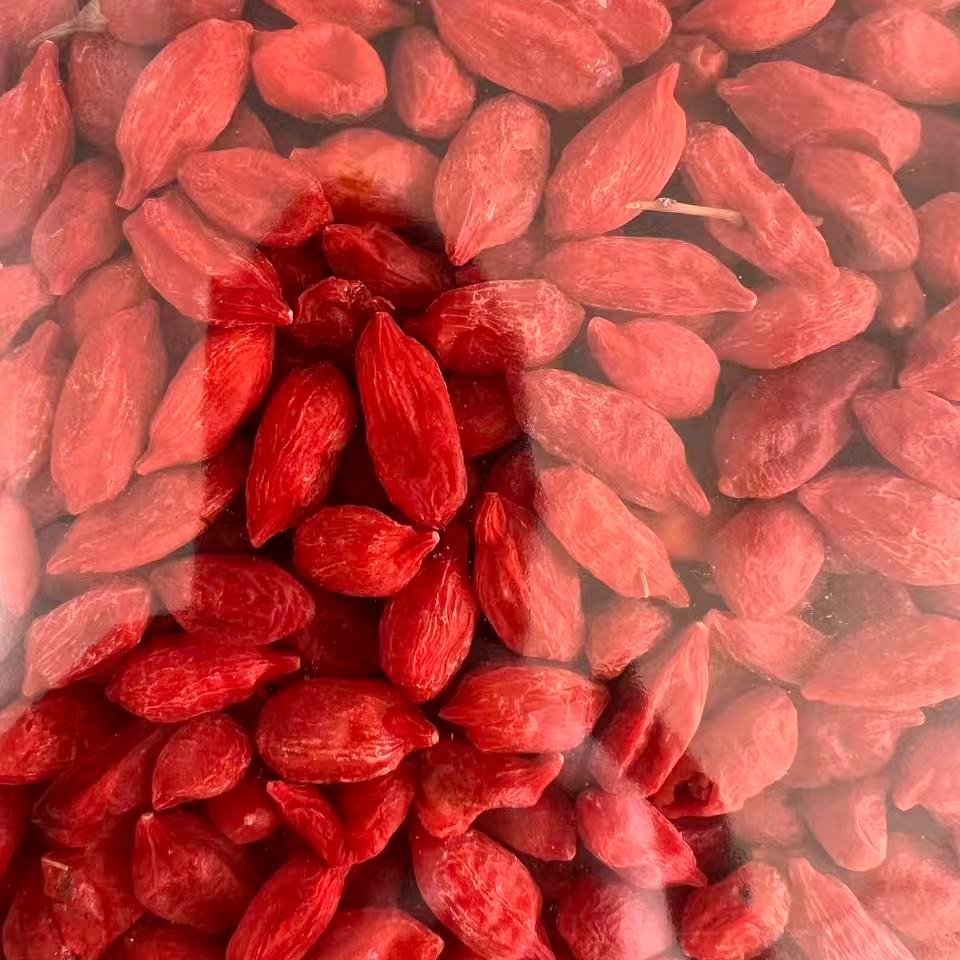 鲜锁红枸杞  2025年头茬锁鲜工艺红枸杞 青海柴达木精品大果包邮