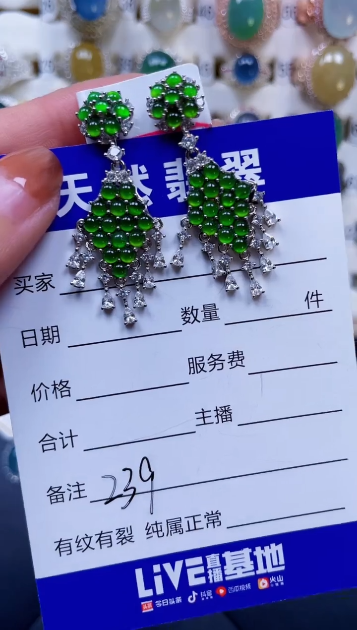 银S925镶嵌翡翠耳饰239