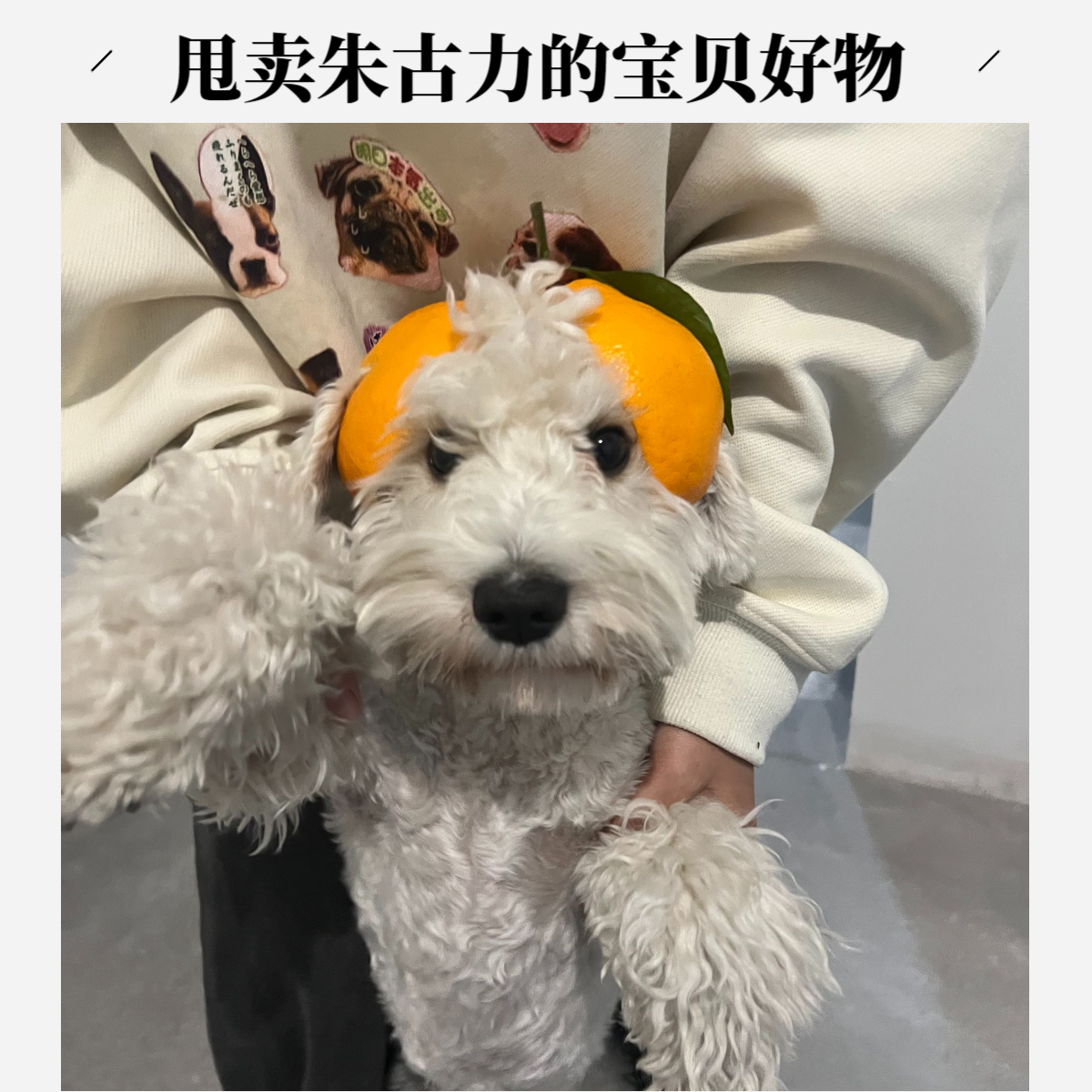 【潮牌孤品】宠物衣服默认微瑕 No退No换