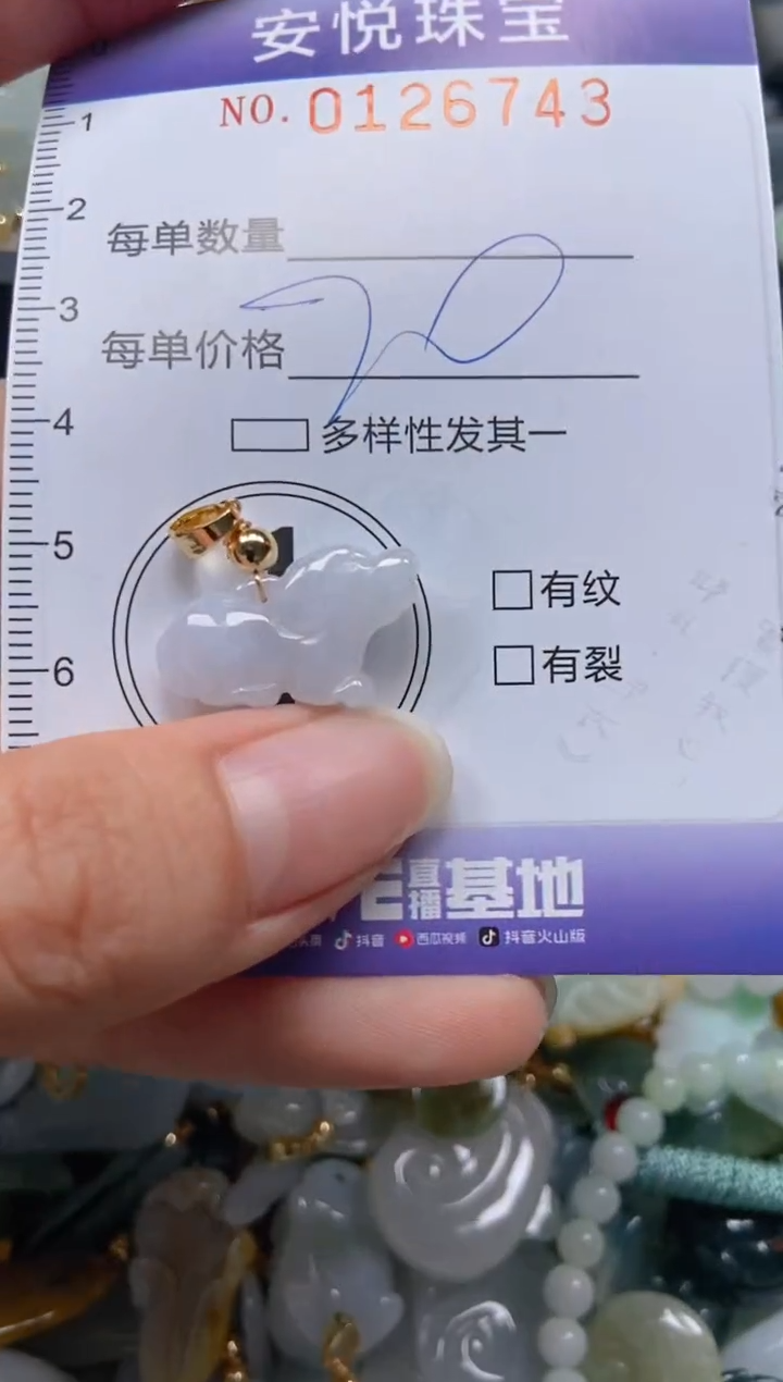 【闪购商品】翡翠颈饰未镶嵌闪购0126743