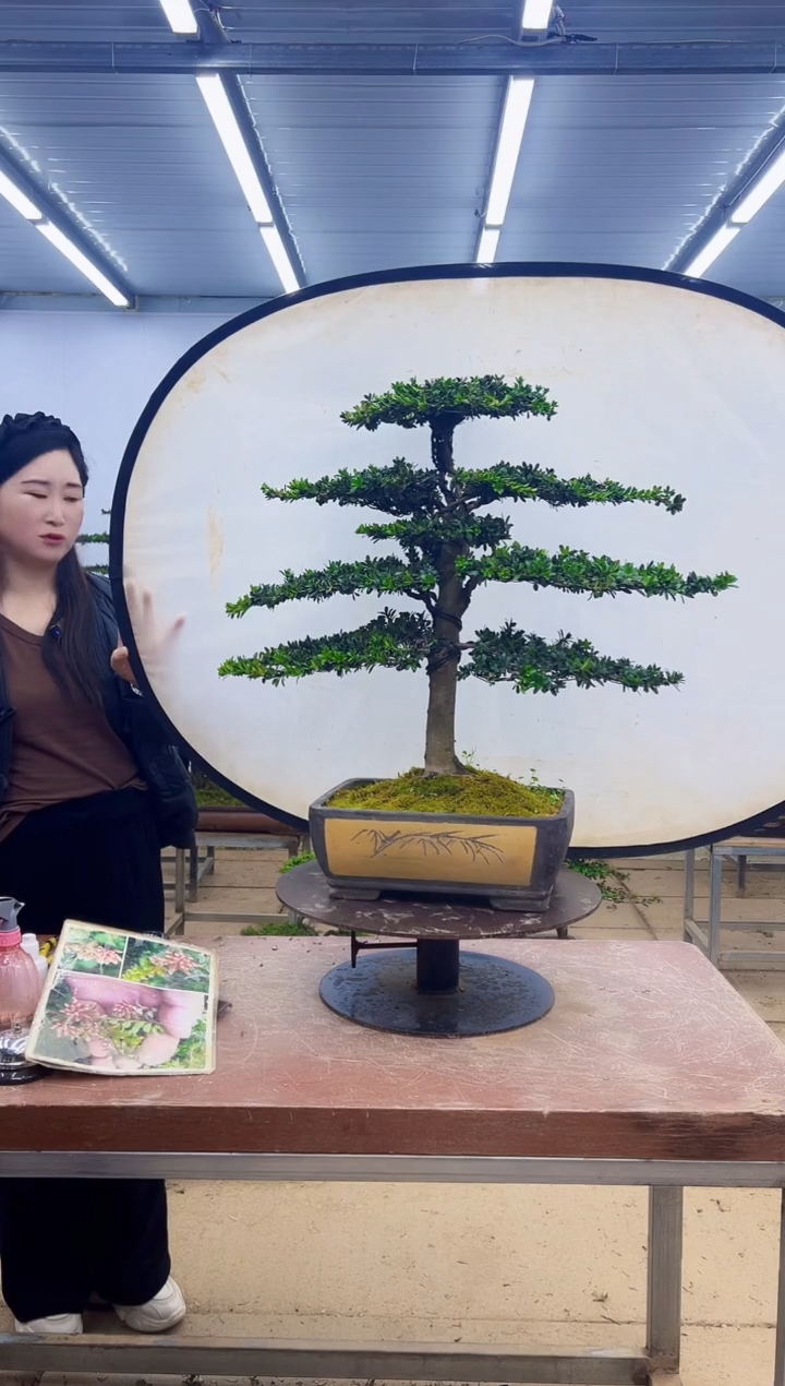 无花朵一物一拍，所见即所得