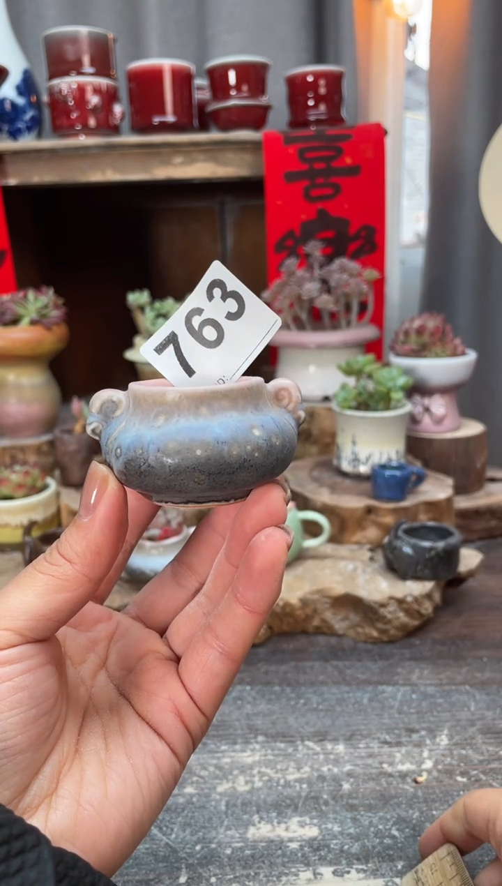 【闪购商品】摆件763知木小芳花盆