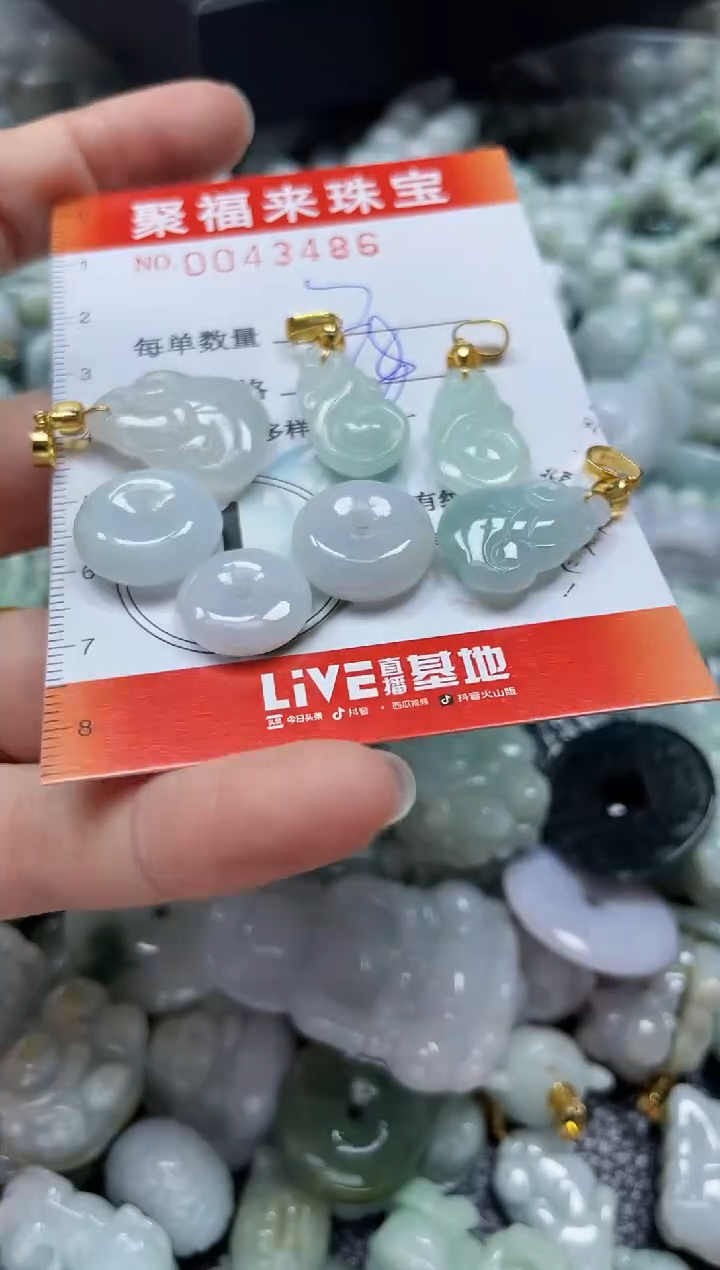 【闪购商品】翡翠颈饰未镶嵌闪购0043486