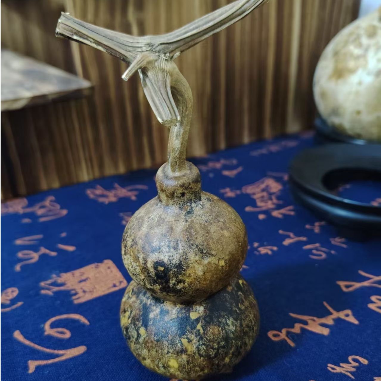 直播间花皮葫芦一物一拍