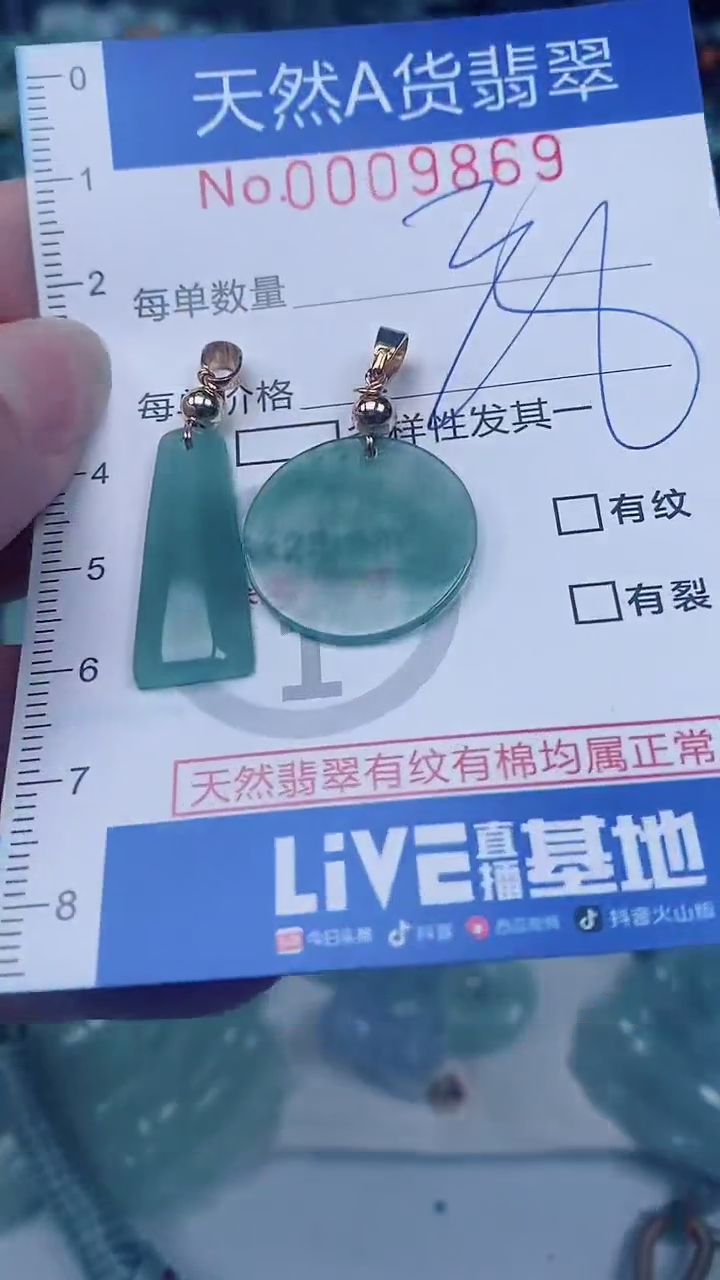 翡翠未镶嵌颈饰00009869