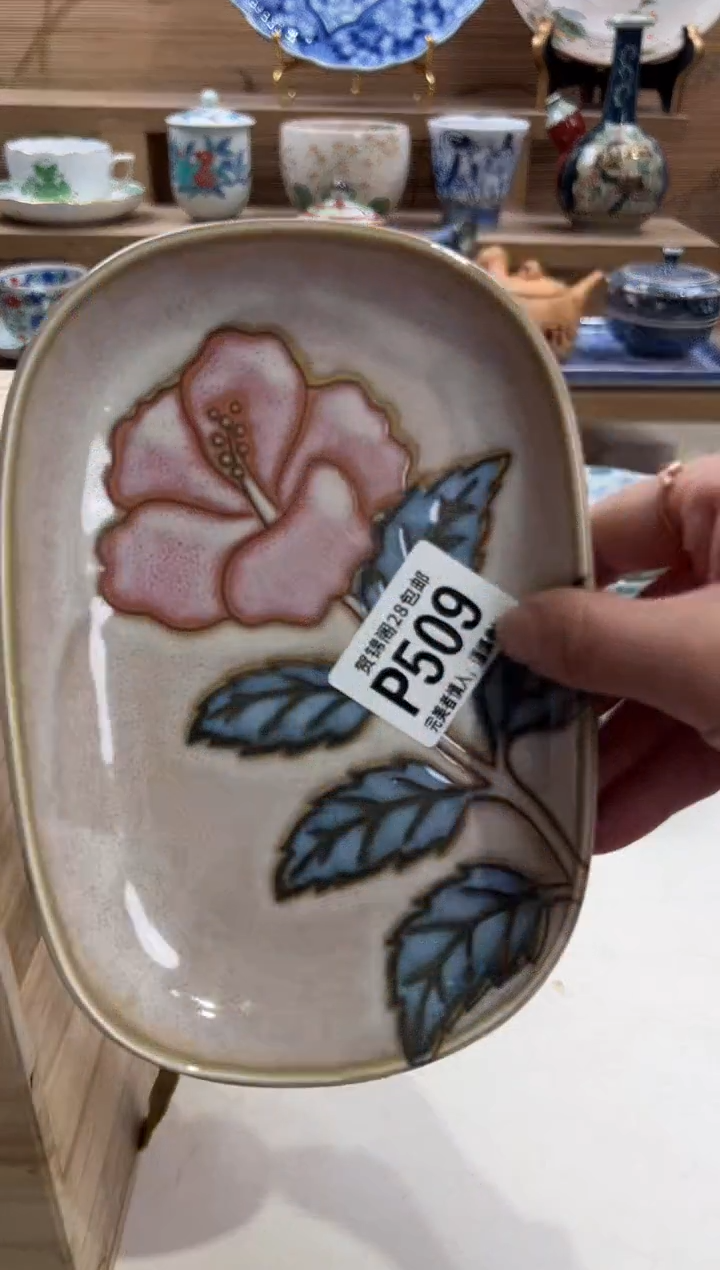 瓷片?****?     P509