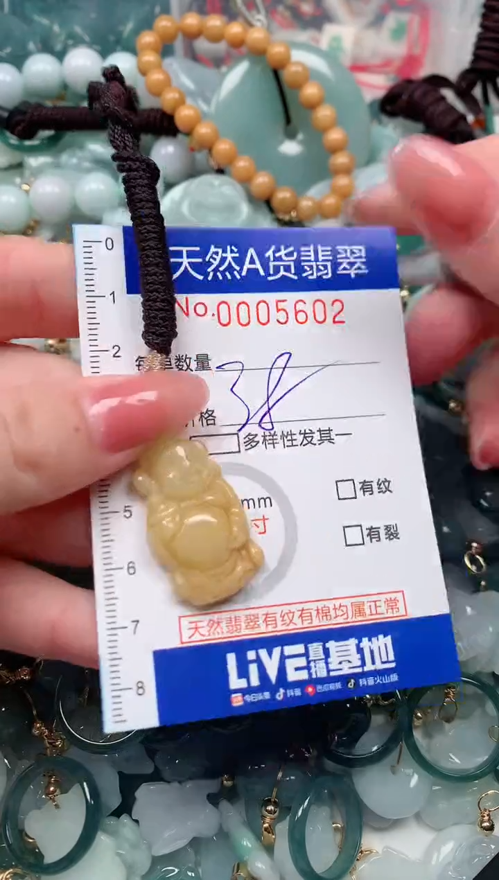 【闪购商品】翡翠颈饰未镶嵌00005602