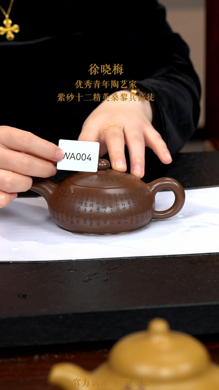 【闪购商品】紫砂茶壶WA005-0118MXX