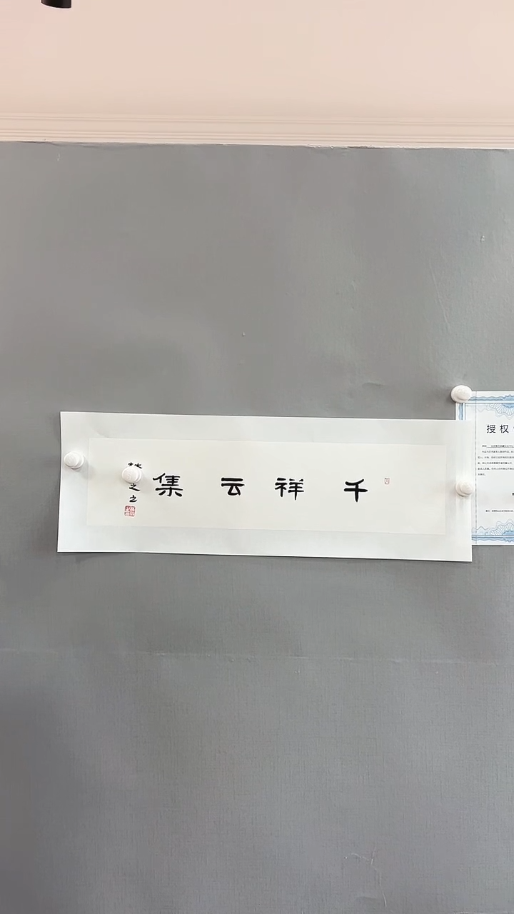 【闪购商品】书法雅艺典藏文化书法