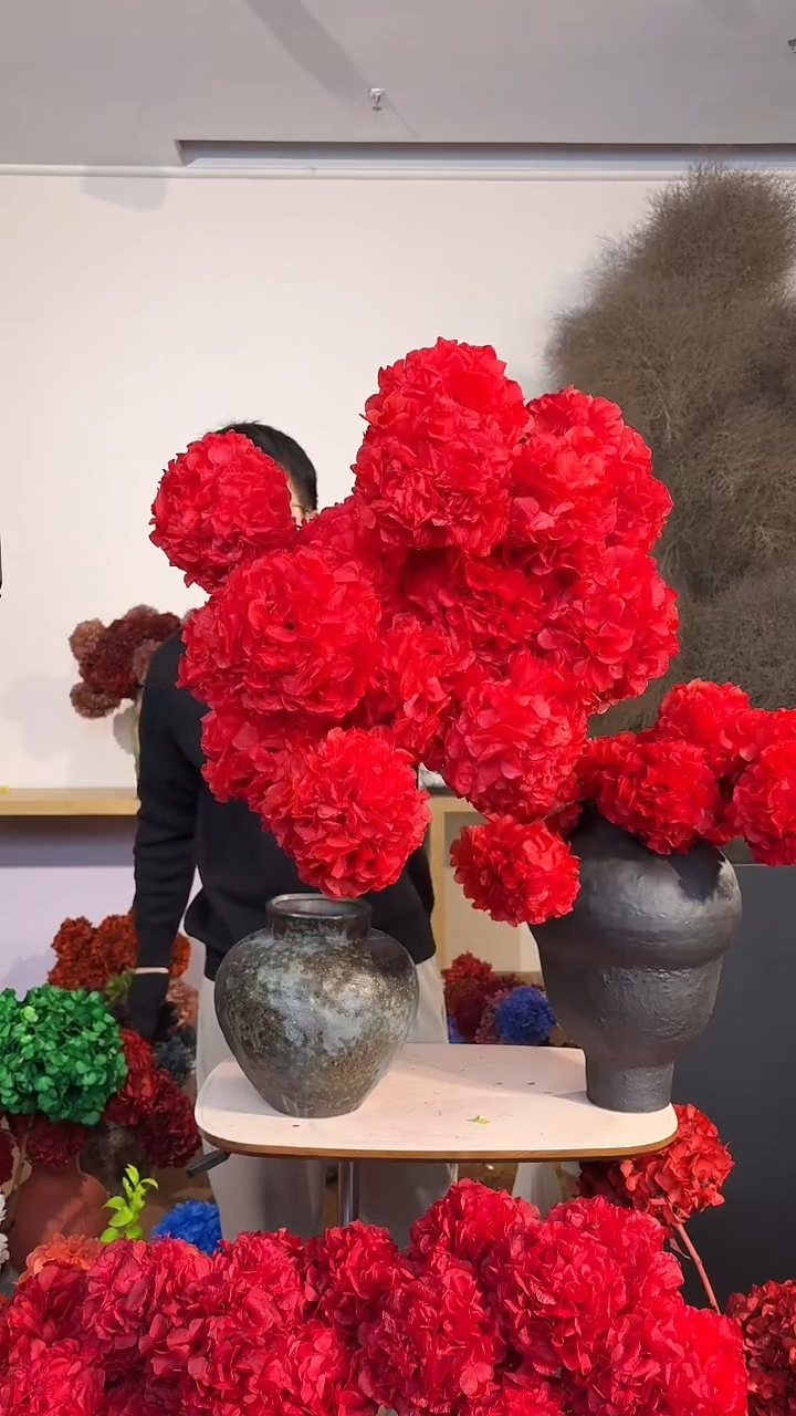 漂色永生大叶绣球花球12枝  红