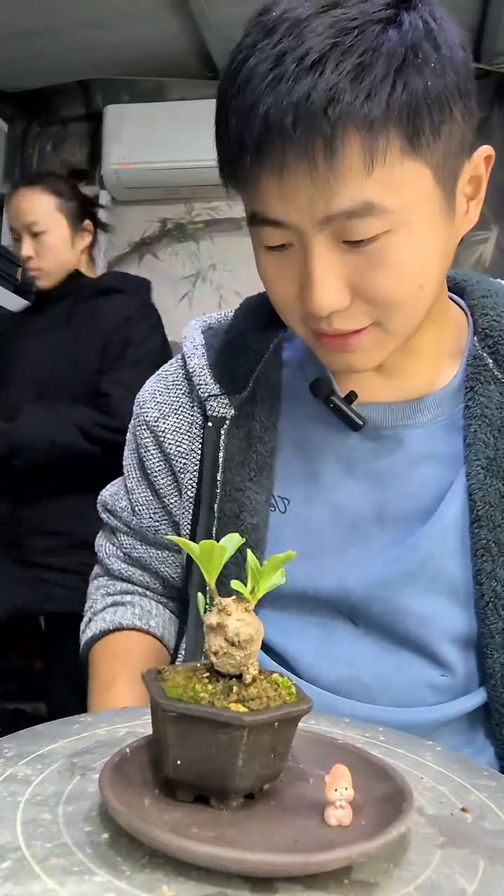 王*令中青园艺一物一拍花219